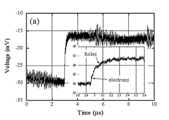 graph : A pulse due to alpha particle measured by InSb radiation detector. 